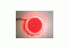 dogeye3.gif