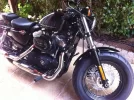 la foto (1)harley.webp