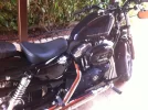 la fotoharley.webp