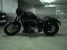 P5262614.webp