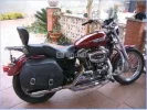 SPORTSTER.jpg2.webp