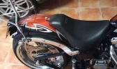 imag0410x.webp