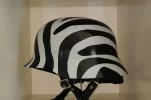 lc3_ab_zebra.webp