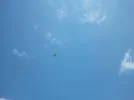2012-06-17 13.44.39.webp