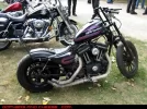 Gophersandcheese_2011-09-17_10c.webp