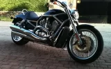 vrod1.webp