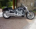 vrod2.webp