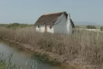 D76K4937_Barraca__construcci_tradicional_al_delta_de_lEbre.webp