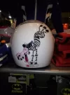 CASCO 2.webp