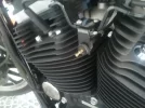2012-01-25 15.03.07.webp