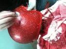photo_6.webp