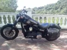 IMG167 peq2.webp