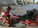 19052012205.webp
