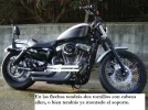 nightster009.webp