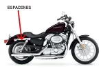 sportster883.webp