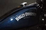 Harley 2.webp