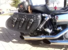 DSC05679.webp