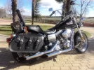 DSC05684.webp