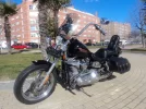DSC05685.webp