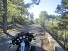 23-12-2012 085 pinar de tamadaba 2.webp