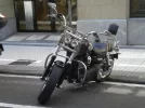 DSCN0302.webp