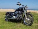 harley-1.webp