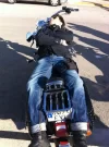 image.webp