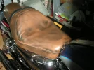 DSCN3438foro.webp
