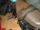 DSCN3440foro.webp