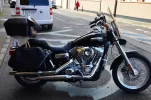 DSC_3716.webp