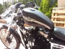 20120422_134046 (1).webp