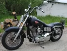 dyna-bis.webp