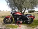 HD_Sportster01[1].webp