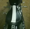 mustang.webp