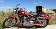dyna445.webp