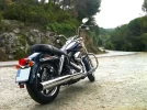 ProfX_Switchback_01.webp