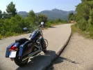 ProfX_Switchback_03.webp