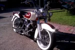 IMAG0363.webp