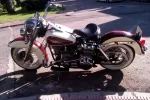 IMAG0364.webp