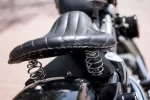 NIGHTSTER16.webp