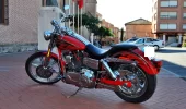 CVO 5 - copia.webp