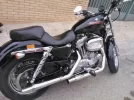colas trumpet.webp