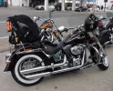 Harley Deluxe 1200 X 971.webp