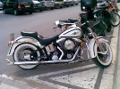 pavellon.webp