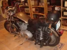 moto 001.webp