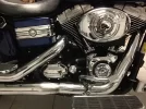 HD STREET BOB 2.webp
