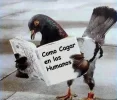 AnimalRevenge11.webp