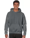 Sudadera Capucha Chico.webp
