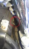 aceite perdida pain foro.webp