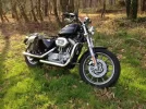 moto.webp